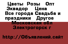 Цветы. Розы.  Опт.  Эквадор. › Цена ­ 50 - Все города Свадьба и праздники » Другое   . Московская обл.,Электрогорск г.